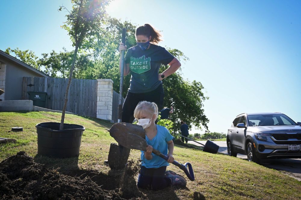 Planting trees